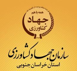 فصل طلایی کشاورزی استان با تلاش کارمندان و کارکنان سازمان جهاد کشاورزی خراسان جنوبی