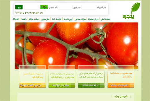 ثبت اطلاعات واحدهای پرورش قارچ خوراکی و گلخانه ها در سامانه پنجره واحد ضروری است
