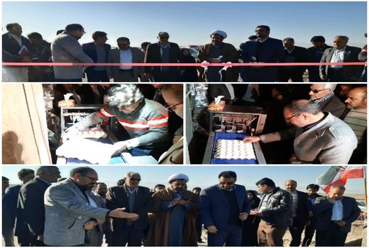 افتتاح طرح پرورش مرغ بومی تخمگذار شهرستان نهبندان در دومین روز دهه فجر