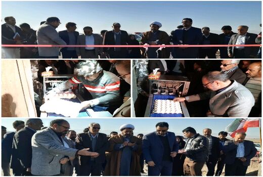افتتاح طرح پرورش مرغ بومی تخمگذار شهرستان نهبندان در دومین روز دهه فجر