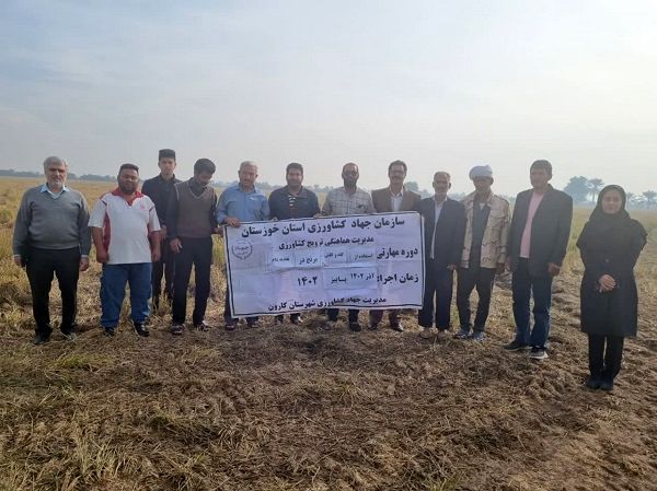 ترویج استفاده از کاه و کلش برنج در تغذیه دام