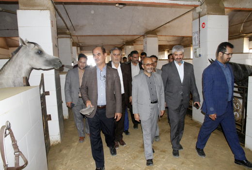 بازدید استاندار  یزد از طرح‌های کشاورزی استان