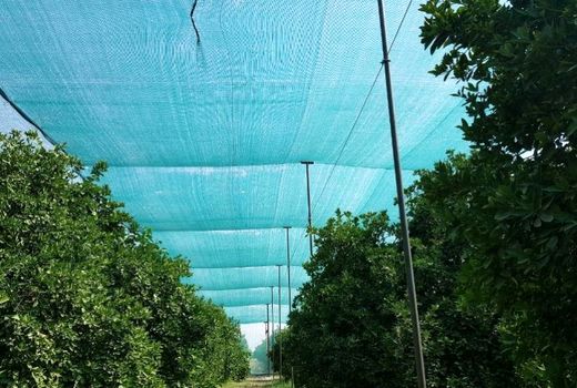  سایه‌بان‌؛ کاربردی‌ترین روش‌ کاهش مخاطرات در بخش کشاورزی