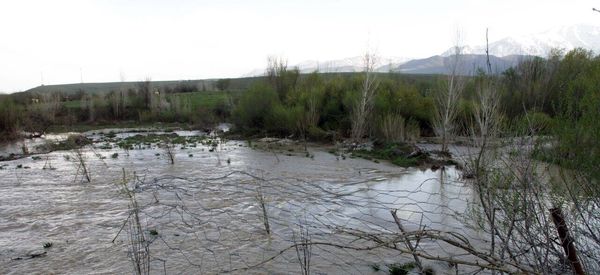 خسارت ۶۰۰ میلیارد ریالی سیل به کشاورزان تفت