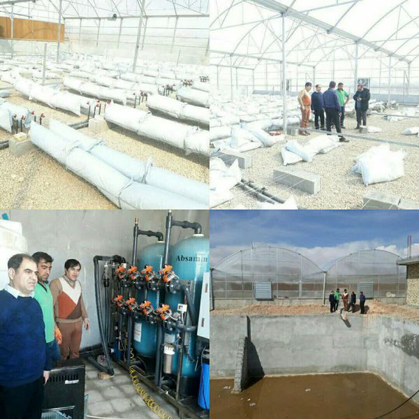اولین گلخانه هیدروپونیک اسفراین در مراحل پایانی ساخت
