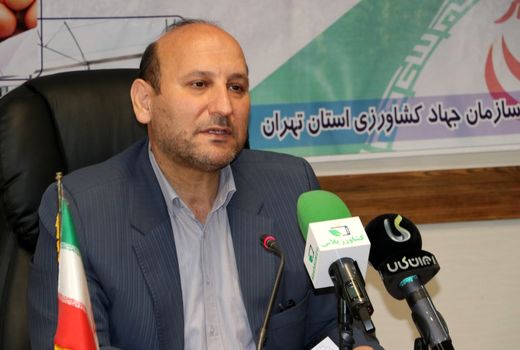 استان تهران، سومین استان کشور در پرداخت تسهیلات به بهره برداران بخش دام و طیور