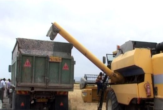 آغاز برداشت جو از مزارع شهرستان آران و بیدگل