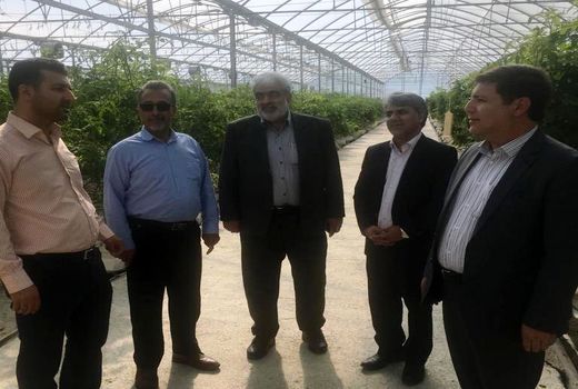  رونق اقتصادی با تسریع در راه اندازی شهرک های کشاورزی