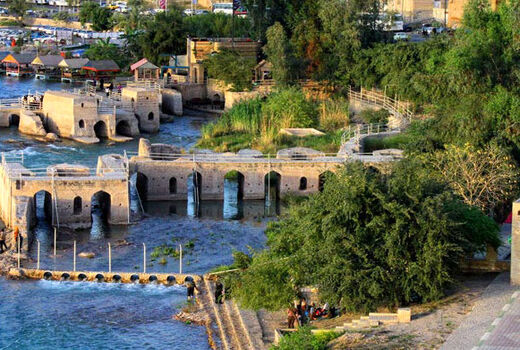 کشت کنجد ناشکوفا در مزارع شهرستان دزفول