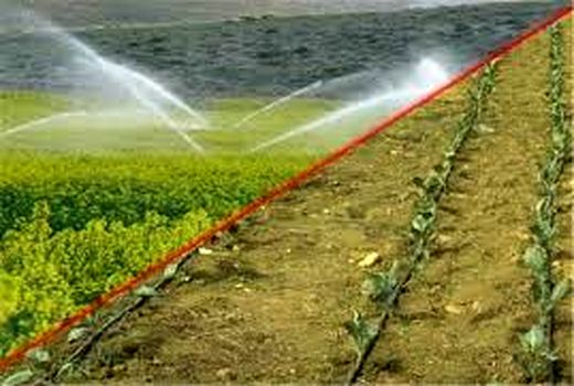 اجرای سیستم آبیاری نوین در 7 هزار هکتار از اراضی شیروان 
