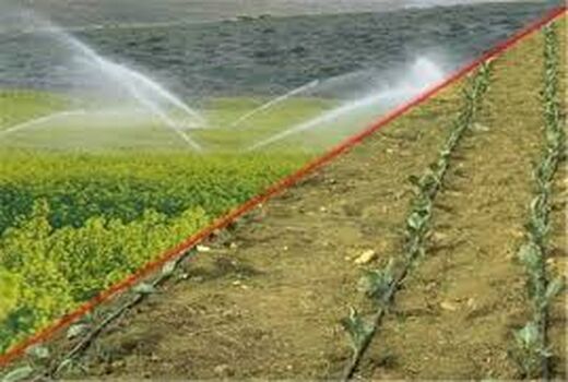 اجرای سیستم آبیاری نوین در 7 هزار هکتار از اراضی شیروان 