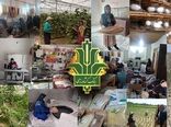 افزایش اعتبار طرح «تأمین مالی خرد» بانک کشاورزی به ۷ هزار میلیارد ریال