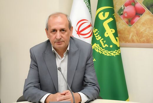 لزوم بیمه محصولات کشاورزی به‌منظور کاهش بروز خسارت احتمالی ناشی از خشکسالی 