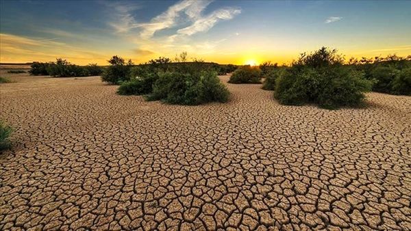 تغییرات اقلیمی و تأثیر عمیق آن بر تنوع محصولات کشاورزی