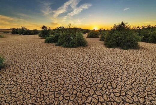 تغییرات اقلیمی و تأثیر عمیق آن بر تنوع محصولات کشاورزی