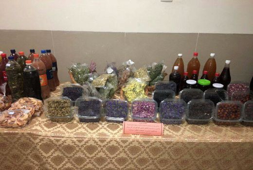 پنج مجوز مشاغل خانگی در شهرستان البرز صادر شد