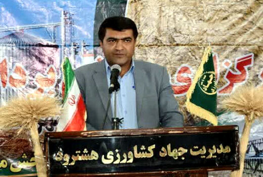 رتبه نخست شهرستان هشترود در خرید تضمینی گندم با 93 هزار تن در آذربایجان شرقی 