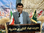 رتبه نخست شهرستان هشترود در خرید تضمینی گندم با 93 هزار تن در آذربایجان شرقی 