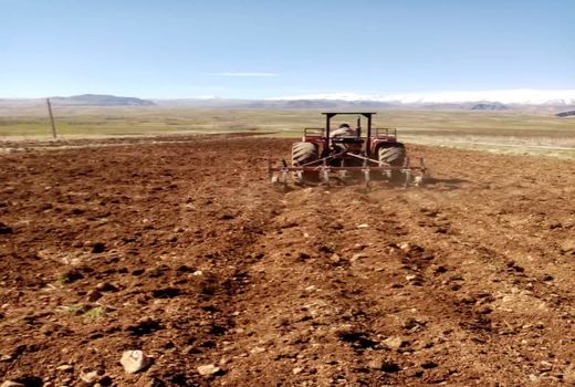 کشت پایلوت الگویی سیاه دانه درشهرستان اردل اجرا شد