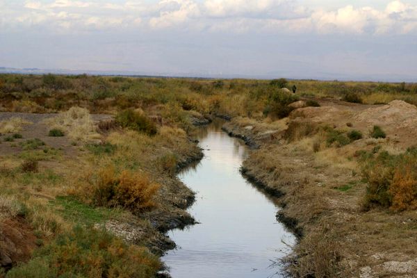 خشک شدن تالاب بندعلی‌خان کانون جدید گرد و غبار می‌سازد