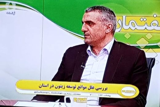 برخی باغات آسیب‌دیده زیتون، بارده شدند