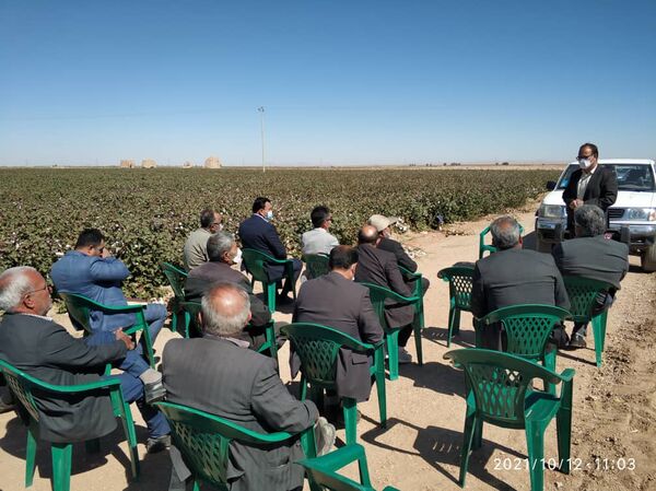  برگزاری کلاس آموزشی ترویجی روز مزرعه  پنبه در بشرویه
