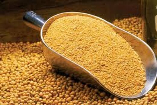 آغاز تجارت محصولات کشورزی آمریکا و چین 
