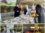 نمایشگاه دستاورد ها وتوانمندی های سازمان جهاد کشاورزی برگزار شد