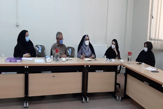  تولید 520 تن قارچ از واحد های پرورش قارچ شهریار درسال جاری