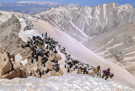  نقش روستا و روستاییان کشور در توسعه ورشد اقتصادی بخش کشاورزی 