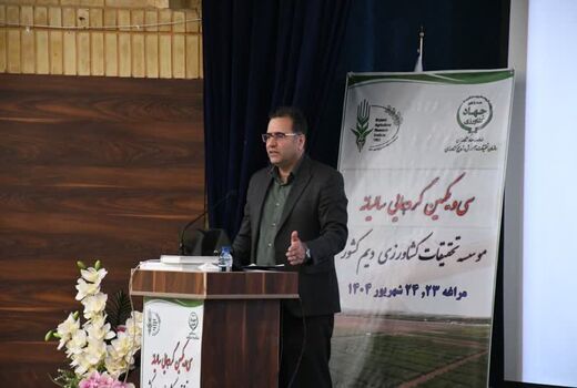 تأکید معاون پژوهش و فناوری سازمان تات بر اهمیت آینده‌پژوهی در کشاورزی دیم