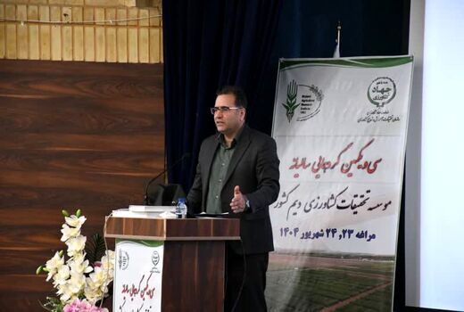 تأکید معاون پژوهش و فناوری سازمان تات بر اهمیت آینده‌پژوهی در کشاورزی دیم