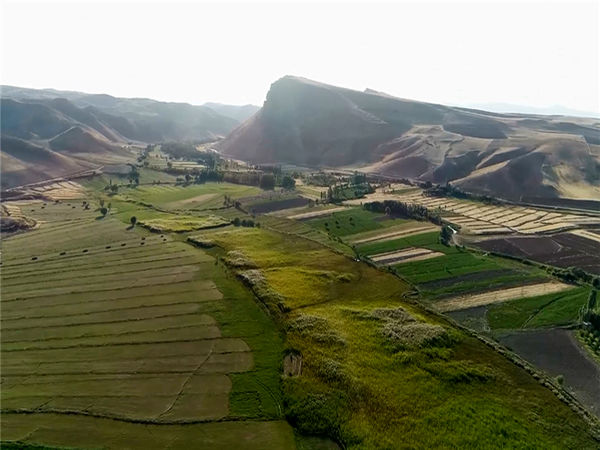 پیشرفت فیزیکی پروژه آبیاری تحت فشار روستای گلابرسفلی شهرستان ایجرود