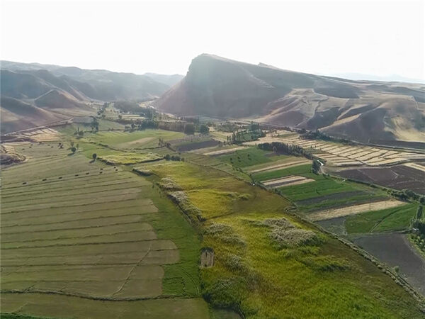 پیشرفت فیزیکی پروژه آبیاری تحت فشار روستای گلابرسفلی شهرستان ایجرود