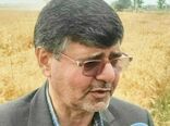 88درصد از مطالبات گندمکاران گلستان پرداخت شد