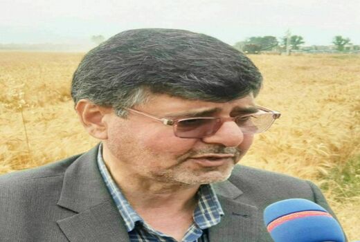 88درصد از مطالبات گندمکاران گلستان پرداخت شد