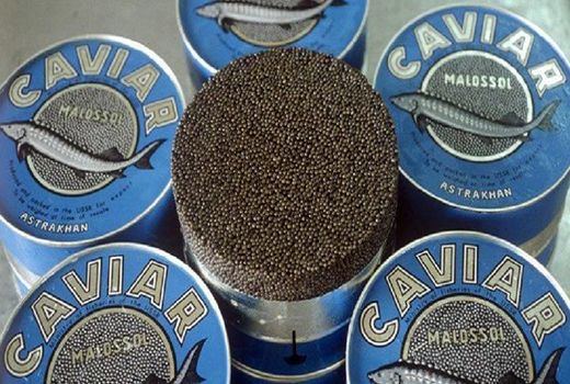  صادرات ۵.۵ تنی خاویار به ۳۳ کشور جهان 