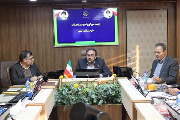 شیلات نیازمند برنامه عملیاتی ترویجی در حوزه آبزی‌مصرفی است