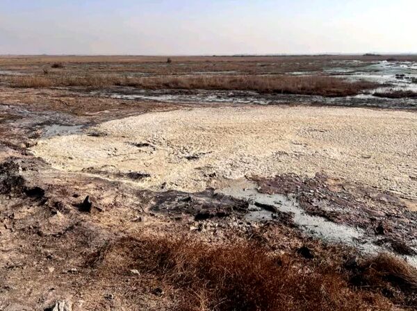 پژوهش درباره منشأ رسوبات تالاب صالحیه برای مهار گردوغبار در حال اجراست
