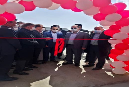 افتتاح یک واحد گلخانه تولید نشاء در شیراز 