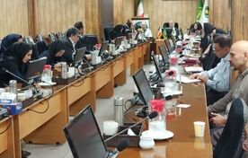 زنان روستایی از دریافت‌کننده خدمات تا عاملان توسعه؛ تأکید بر تدوین سند ملی عاملیت زنان روستایی و عشایری