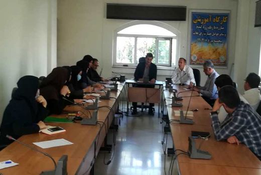 کارگاه آموزشی مبارزه با رنگ زرد و سایرعوامل خسارت زای غلات