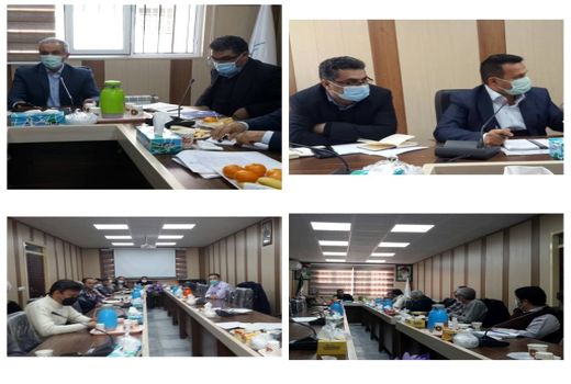 لزوم کشت 30هزار هکتار گندم دیم و 5 هزار هکتار گندم آبی در کردستان با کشت قراردادی