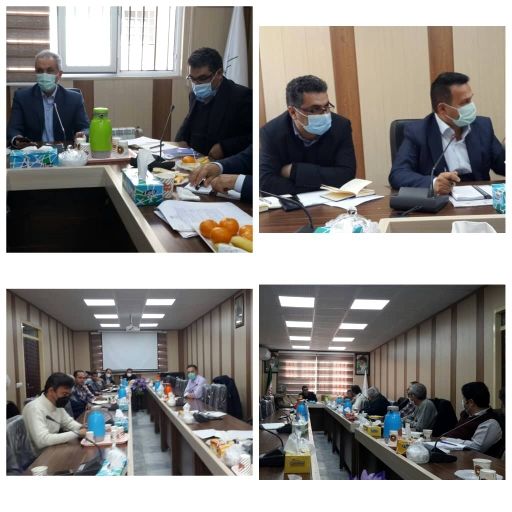 لزوم کشت 30هزار هکتار گندم دیم و 5 هزار هکتار گندم آبی در کردستان با کشت قراردادی