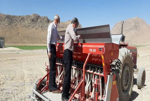 کشت کلزا در شهرستان بروجن آغاز شد 