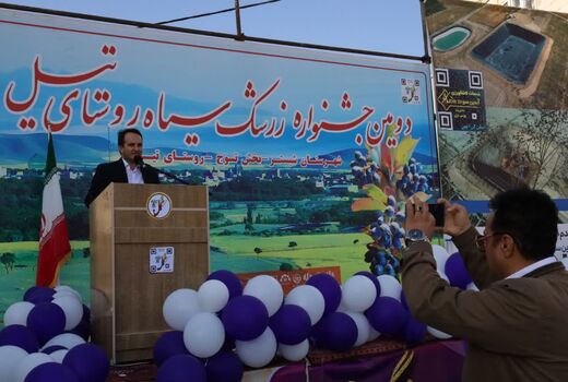 جشنواره زرشک سیاه تیل؛ فرصتی برای توسعه کشاورزی و اشتغال در روستای تیل