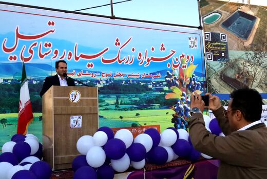 جشنواره زرشک سیاه تیل؛ فرصتی برای توسعه کشاورزی و اشتغال در روستای تیل