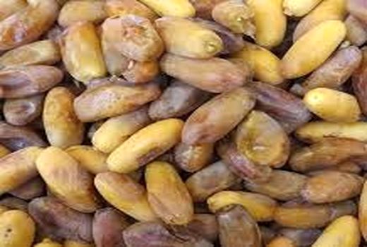 صادرات بیش از 2 هزار تنی خرمای جهرم