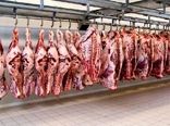 تولید بیش از ۱۹ هزار تن گوشت قرمز در چهارمحال و بختیاری