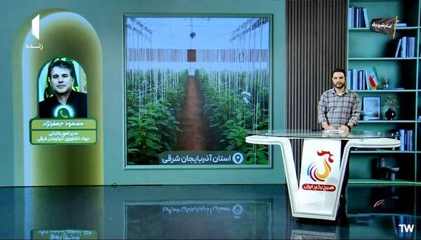 هدف‌گذاری برای توسعه ۲ هزار هکتار گلخانه در آذربایجان شرقی در افق پنج‌ساله 